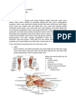 Bagus Haqi 090 Analisis Cedera Fisioterapi Pak Tutur New