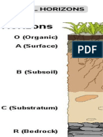 Soil Horizons Infographic in Brown Blue Organic Simple Style