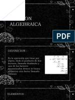 Division Algebraica 1