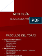 Torax Diafragma