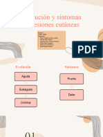 Evolución y Síntomas de Lesiones Cutáneas