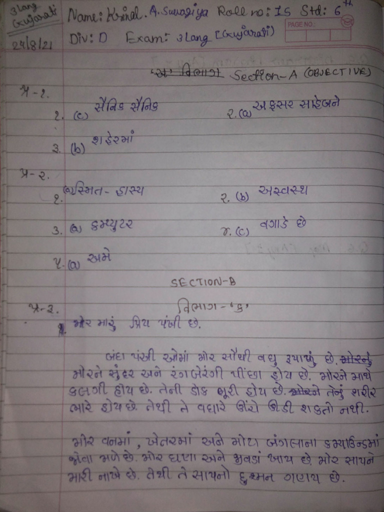 15 6D Krinal Gujarati III Language PA-2 Exam | PDF