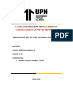 Desventajas Del Sistema Nacional de Pensiones