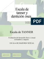 Tanner y Denticion Osea