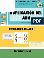 Duplicación Del Adn