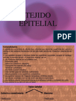 Tejido Epitelial - Laboratorio