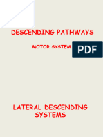 Descending Pathways-Merged