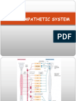 Parasympathetic System-Merged