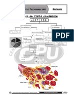 10 - Anatomía 2024-I