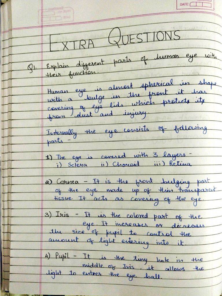light-extra-questions-pdf