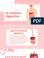 Sistema Digestivo - Ciencias de La Salud - 20231205 - 154806 - 0000