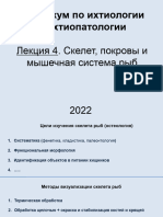 Ихтиология - 2022 - Скелет, Покровы и Мышцы Рыб