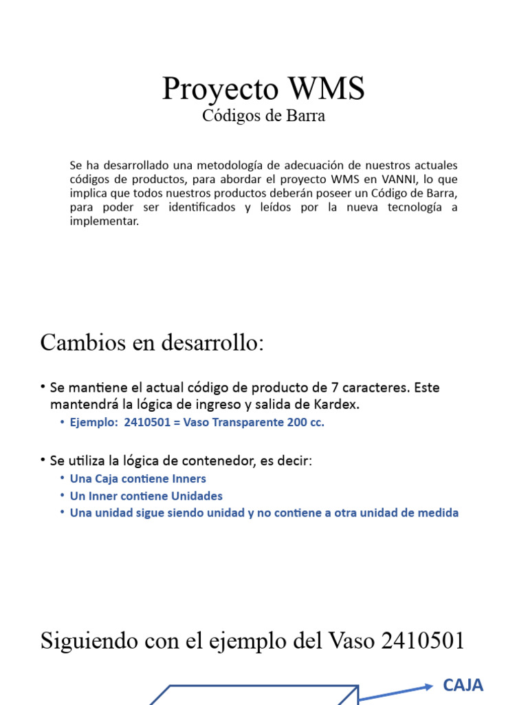 Codificación de Productos en WMS | PDF | Informática