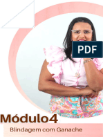 PDF - Módulo 4 Blindagem