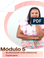 PDF - Módulo 5 Blindagem