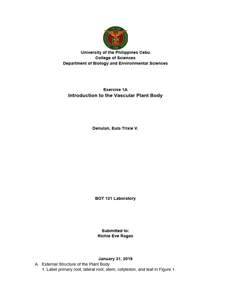 introduction-to-the-vascular-plant-body-pdf-leaf-cell-biology