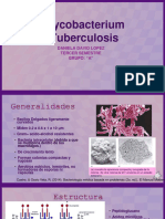 Mycobacterium Tuberculosis