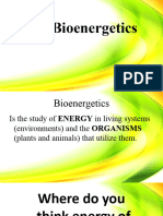 FOR STUDENTS - Photosynthesis 2