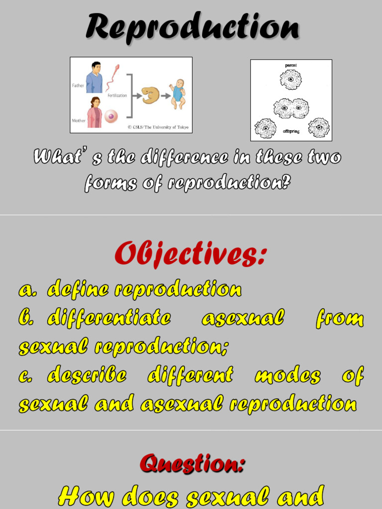 Reproduction visual data 3