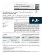 Cadmium Chloride-Induced Apoptosis of HK-2 Cells Via Interfering With Mitochondrial Respiratory Chain