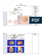 CNS Notes