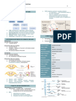 3 - Autonomic Nervous System