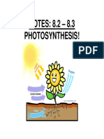 Photosynthesis Overview