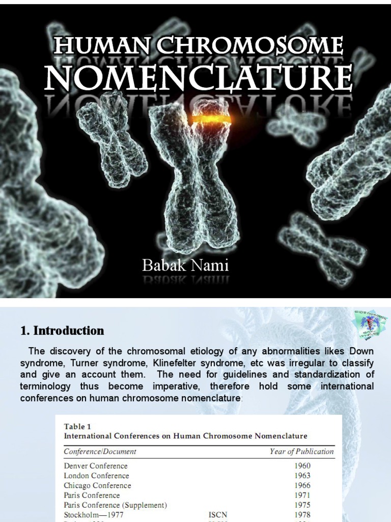 Human Chromosome Nomenclature Guide | PDF | Karyotype | Chromosome