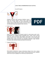 Kelainan Organ Reproduksi Pada Manusia