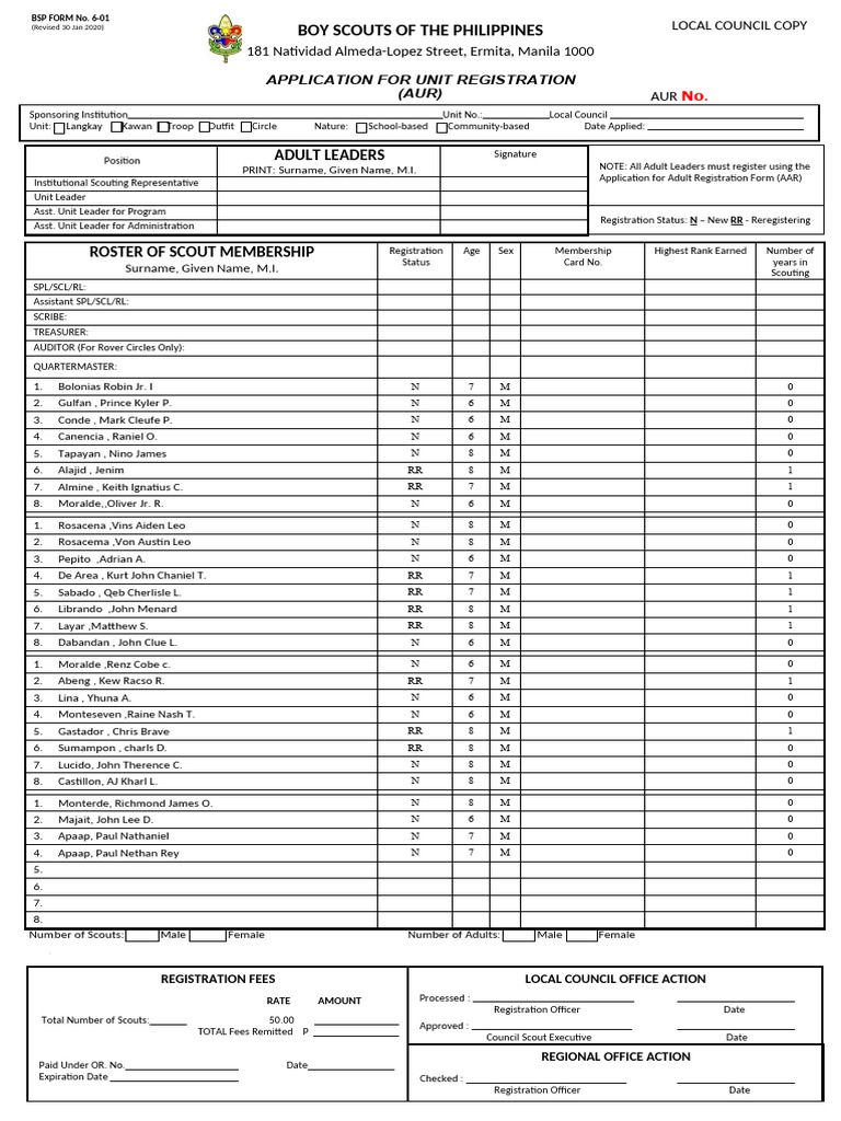 BSP Unit Registration Application Form | PDF | Patriotic And National ...