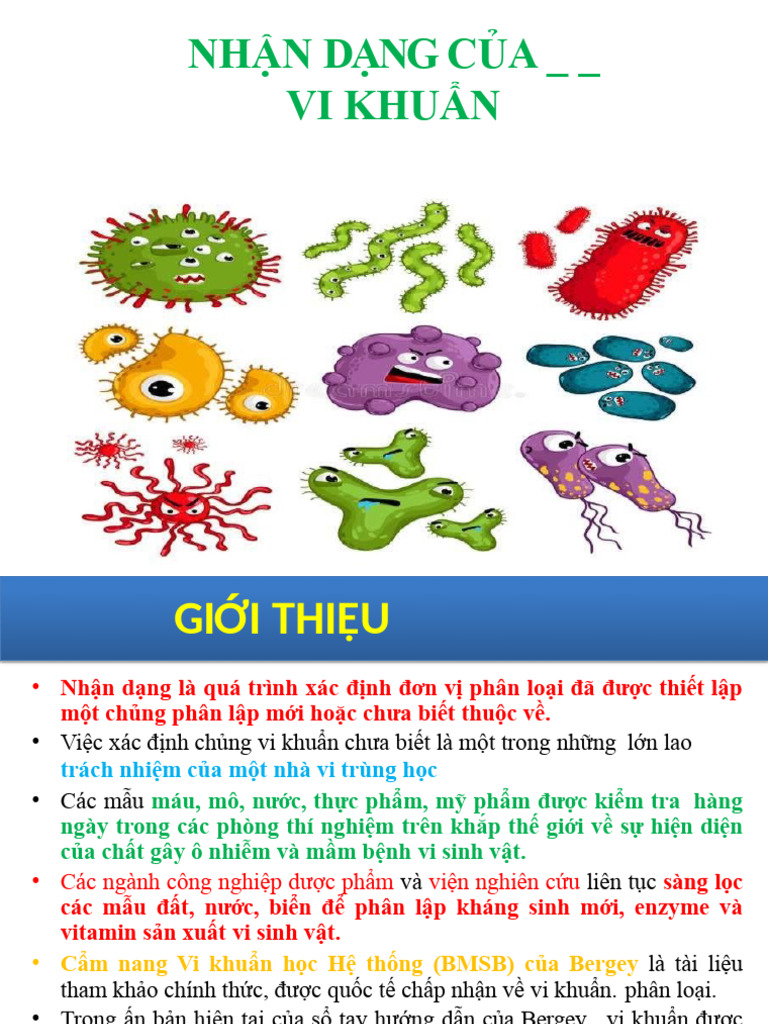 Identification of Bacteria by Biochemical Reaction | PDF