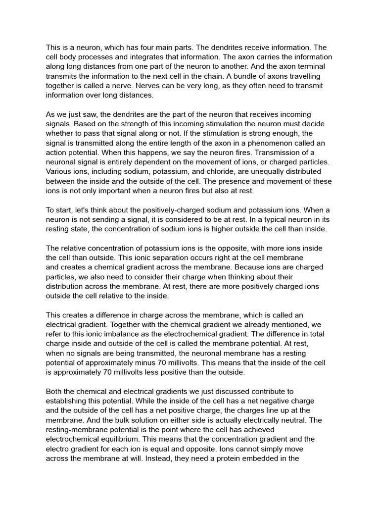 Neuron Pdf Action Potential Membrane Potential