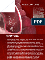 Nematoda Usus