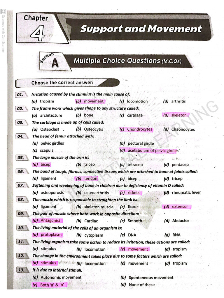 10th Bio Chap#04 STBB - Mcqs - RUVL | PDF