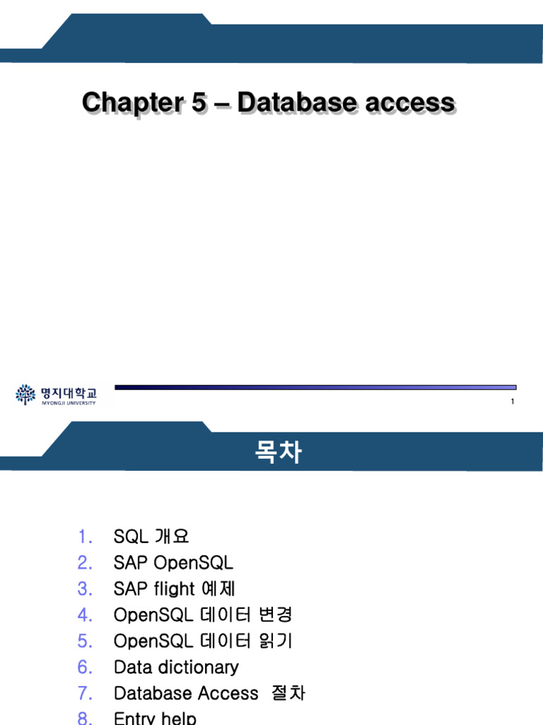 L05 Database Access | PDF