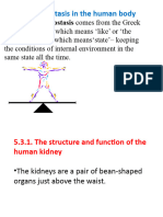 5.3. Homeostasis