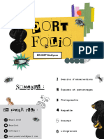 Portfolio Compressé