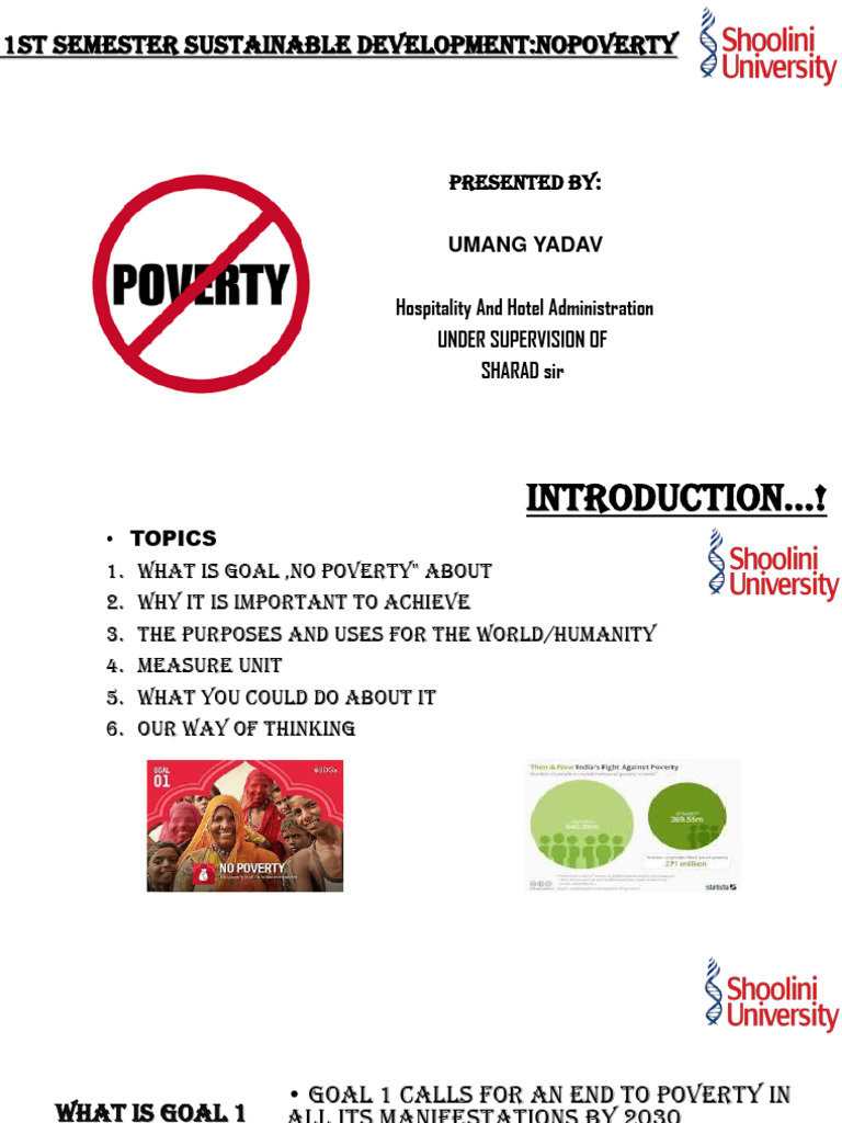 Understanding Goal 1: No Poverty | PDF