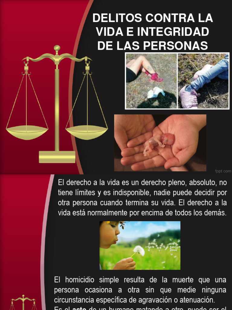 Delitos contra la Vida y la Integridad | PDF | Homicidio | Justicia penal
