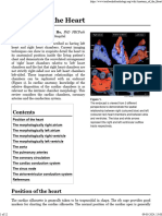 Anatomy of Heart Cardiology