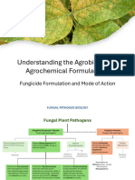 Fungicide Formulation and Mode of Action 1710748609