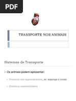 Transporte Nos Animais