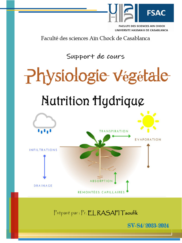 Cours Physiologie végétale S4 FSAC 2024 | PDF