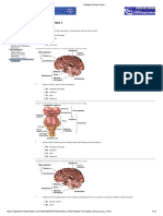 Neouroanatomy MCQ1