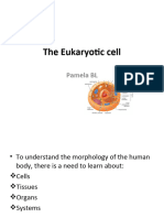 1-The Eukaryotic Cell