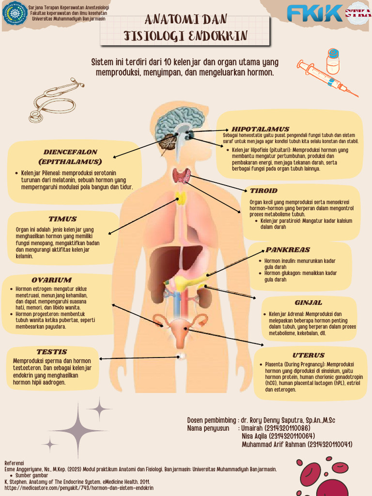 Poster Sistem Endokrin Kel. 11 Fix | PDF