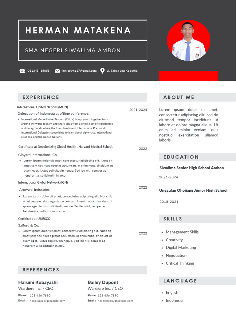 Professional CV Resume | PDF