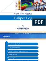 Caliper Log 1711197450