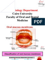 Oral Mucosa Section 1