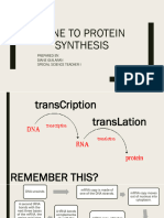 Lesson 0.1 From Gene To Protein